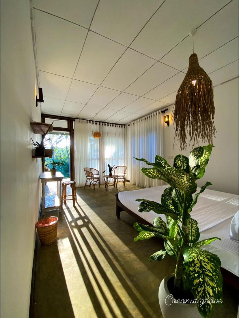 Hotel Coconut Grove - Midigama East Zewnętrze zdjęcie