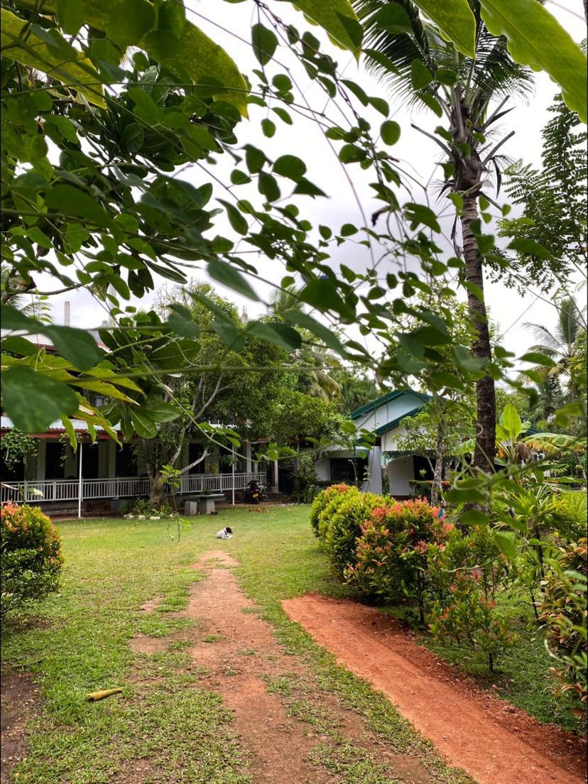 Hotel Coconut Grove - Midigama East Zewnętrze zdjęcie