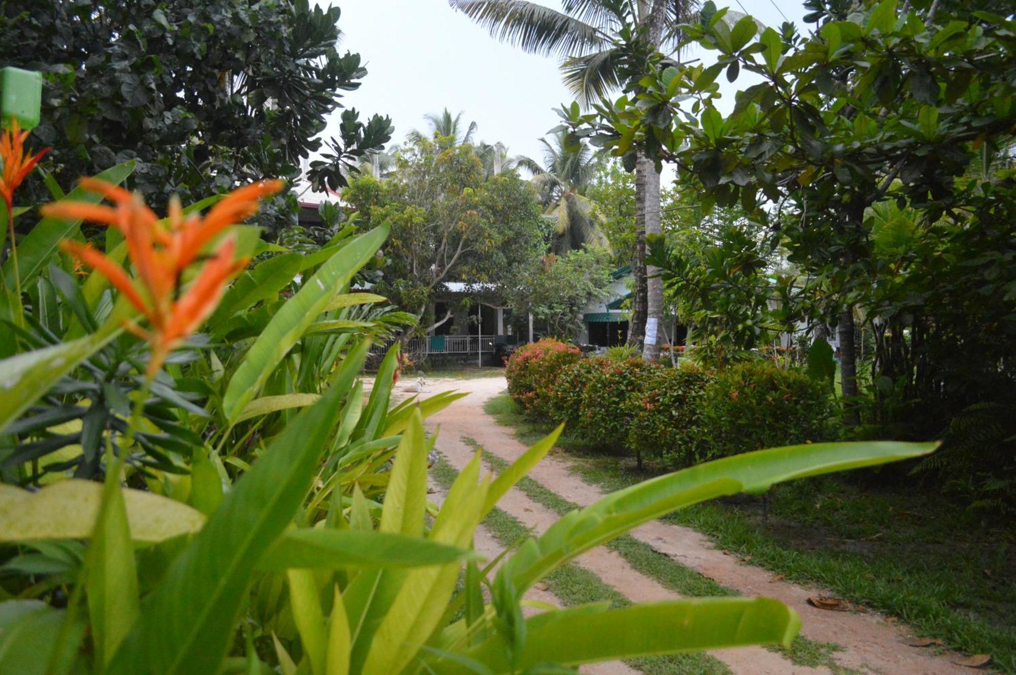 Hotel Coconut Grove - Midigama East Zewnętrze zdjęcie