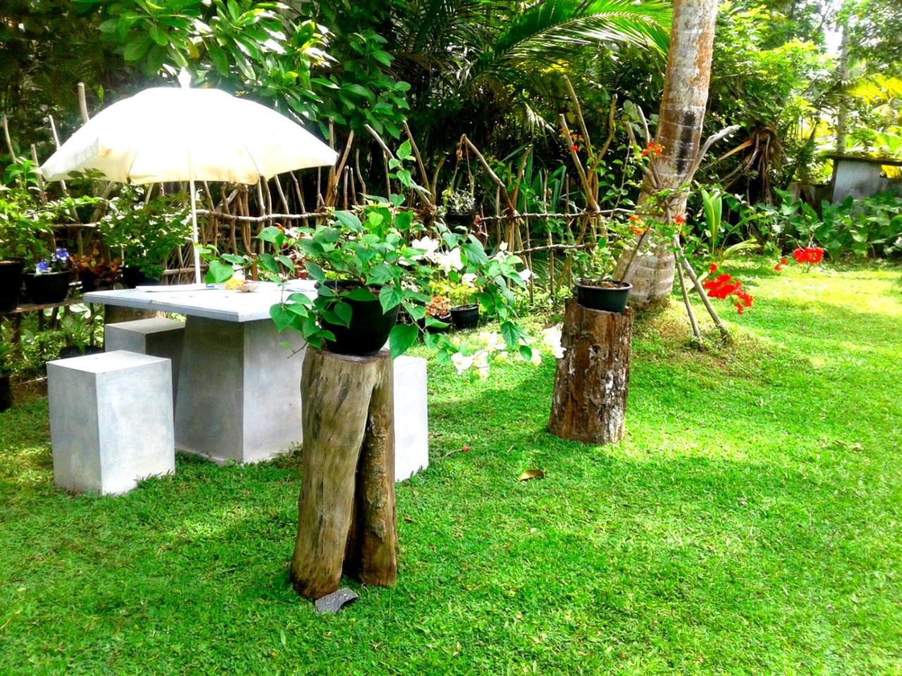 Hotel Coconut Grove - Midigama East Zewnętrze zdjęcie