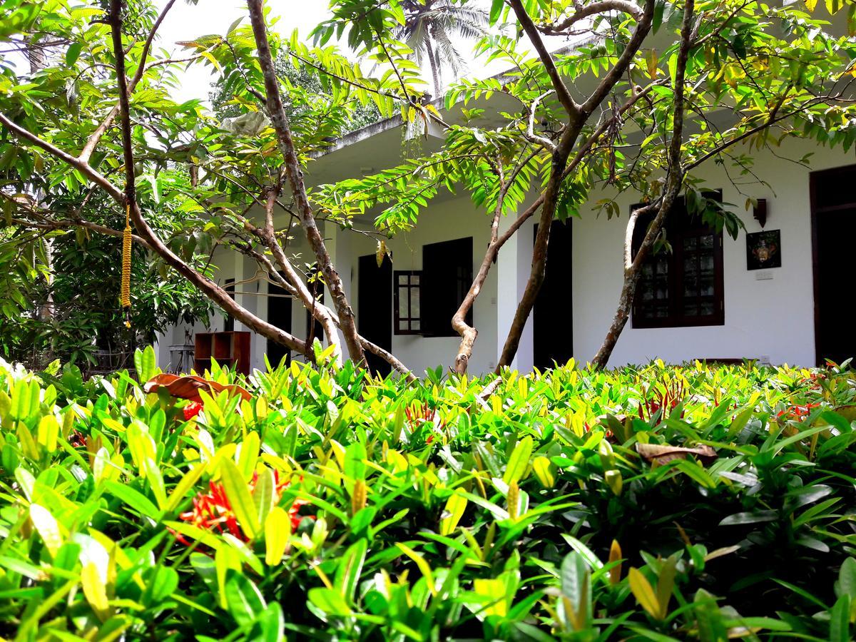 Hotel Coconut Grove - Midigama East Zewnętrze zdjęcie
