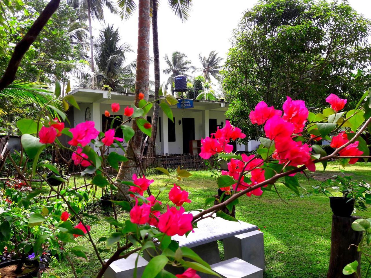 Hotel Coconut Grove - Midigama East Zewnętrze zdjęcie