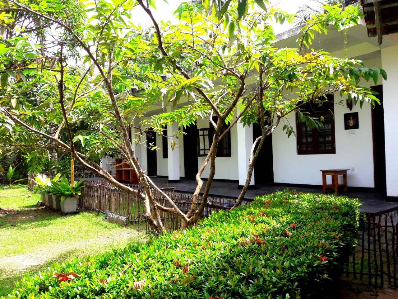 Hotel Coconut Grove - Midigama East Zewnętrze zdjęcie